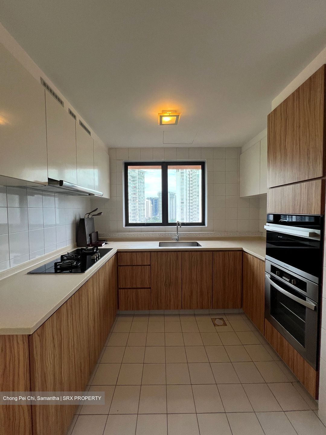 Parkway View (D15), Apartment #460322321